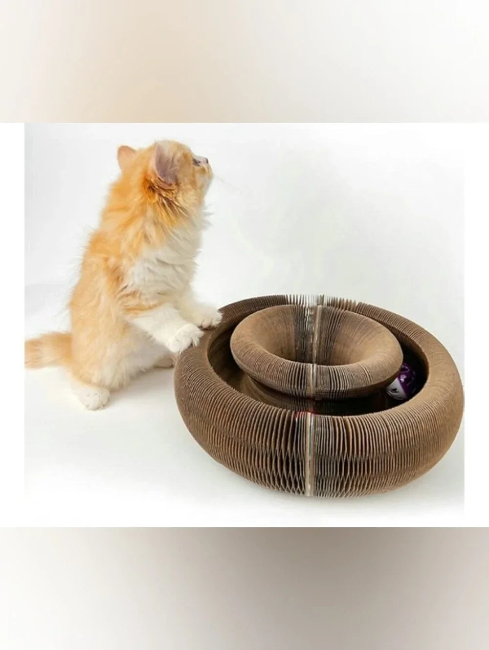Interactive 😺  Toy & Cardboard Cat Scratcher Set of 2
